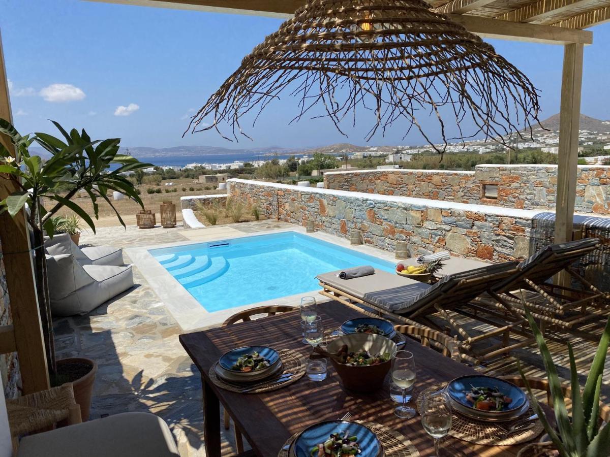 Villa Ypsilon Naxos - Luxury Holiday House With Amazing Sea View & Private Pool Agia Anna  Exteriör bild