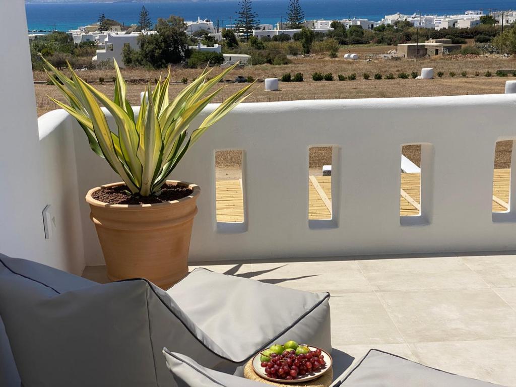 Villa Ypsilon Naxos - Luxury Holiday House With Amazing Sea View & Private Pool Agia Anna  Exteriör bild