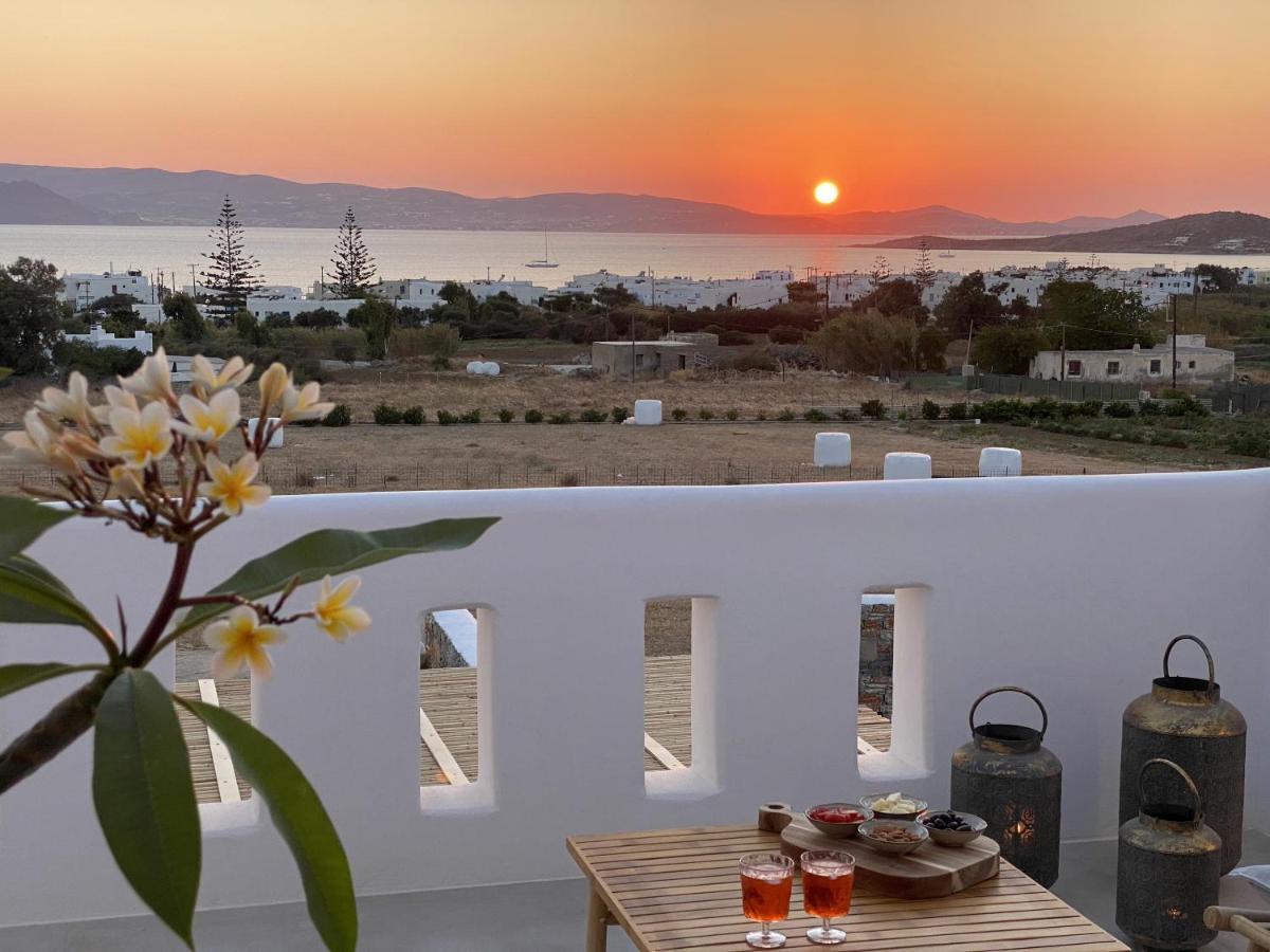 Villa Ypsilon Naxos - Luxury Holiday House With Amazing Sea View & Private Pool Agia Anna  Exteriör bild